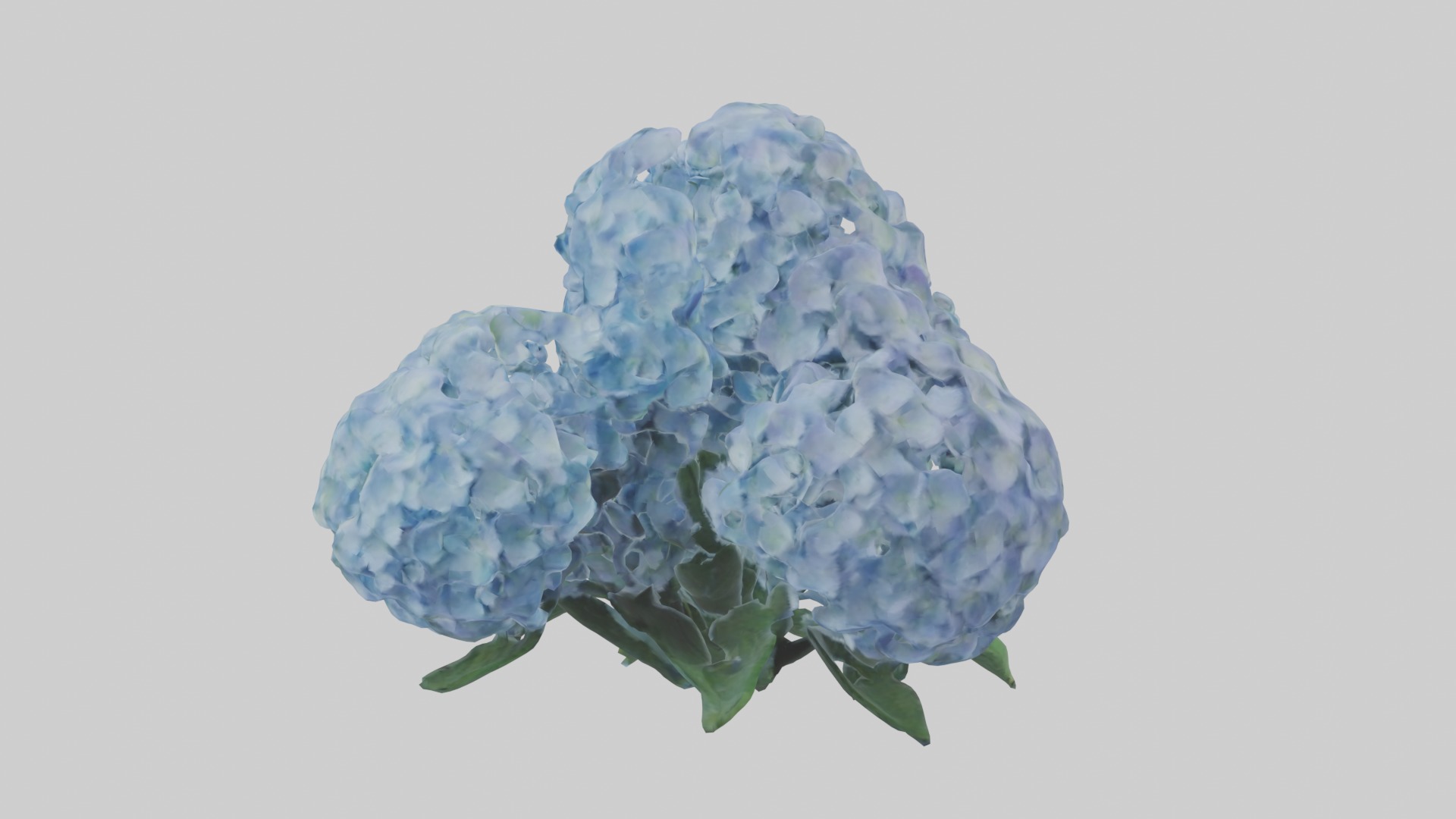 Hydrangea Flowers Mod 1 Low-poly 3D model_1