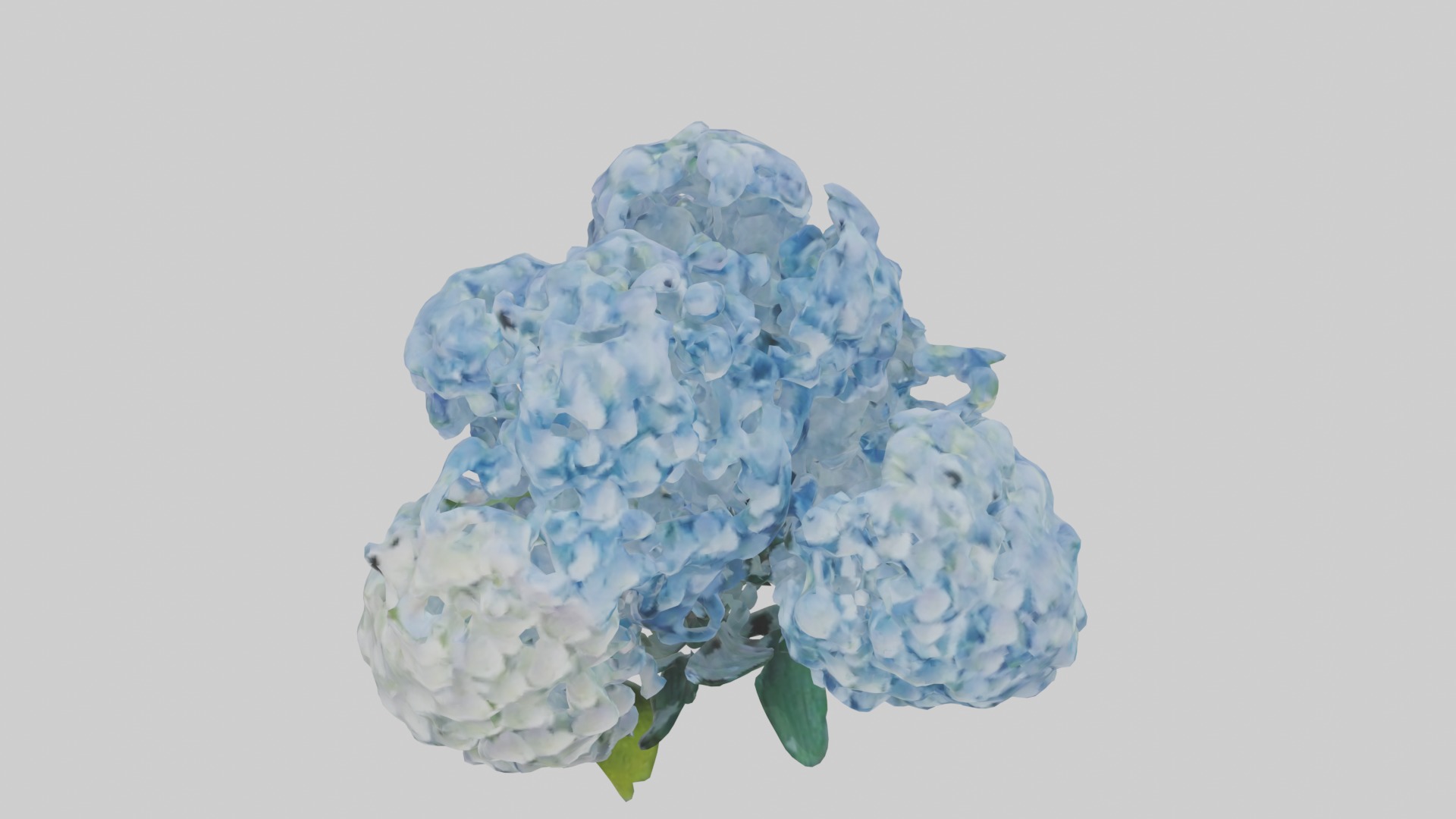 Hydrangea Flowers Mod 1 Low-poly 3D model_10