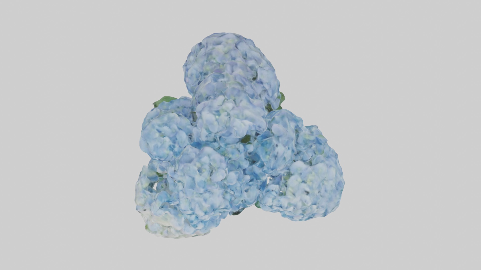 Hydrangea Flowers Mod 1 Low-poly 3D model_8
