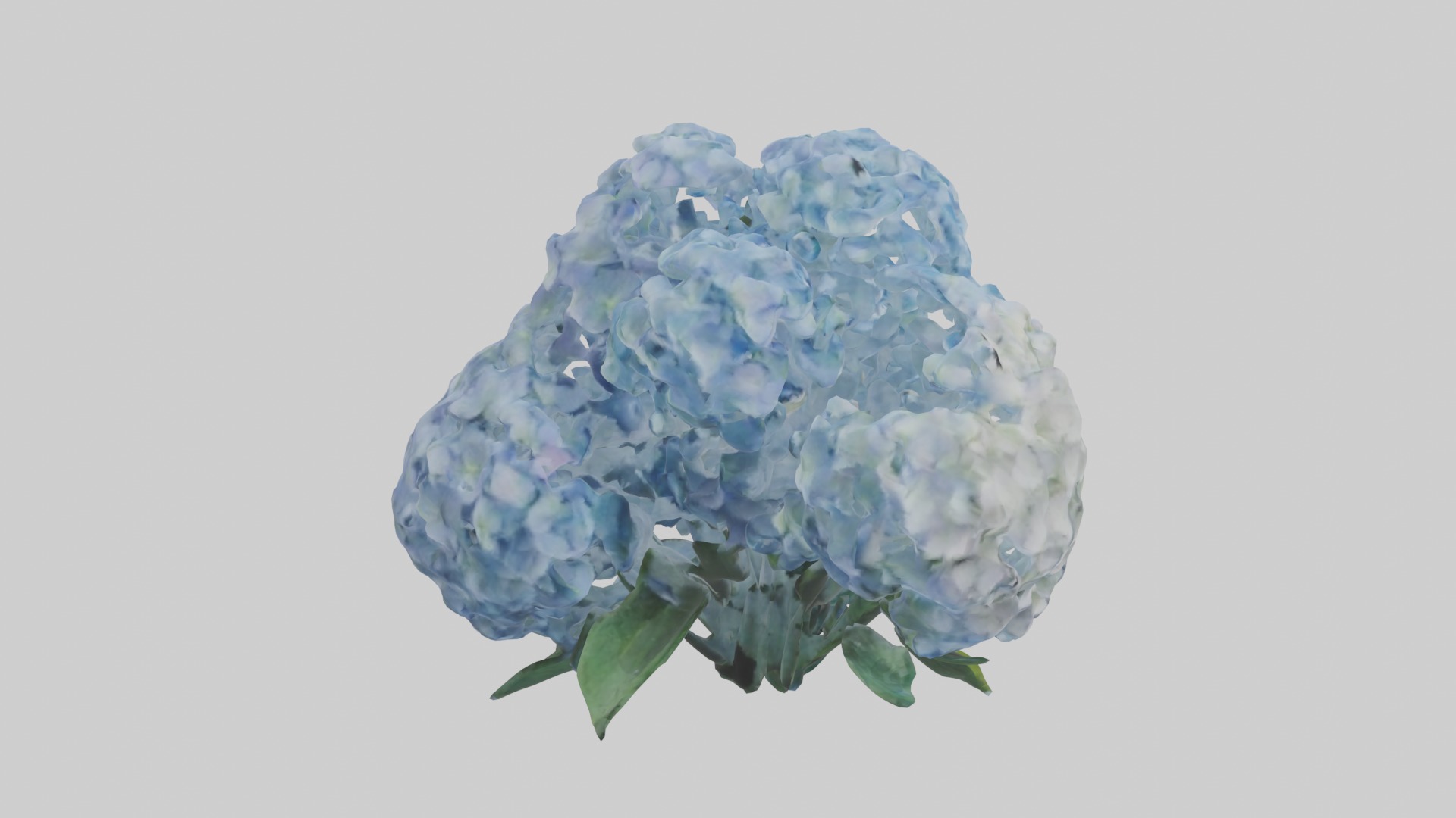 Hydrangea Flowers Mod 1 Low-poly 3D model_7