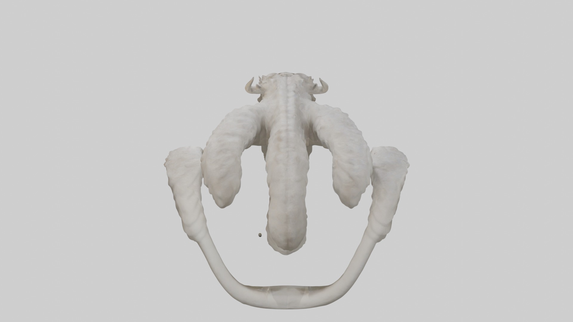 Hydra Model Low-poly 3D model_9