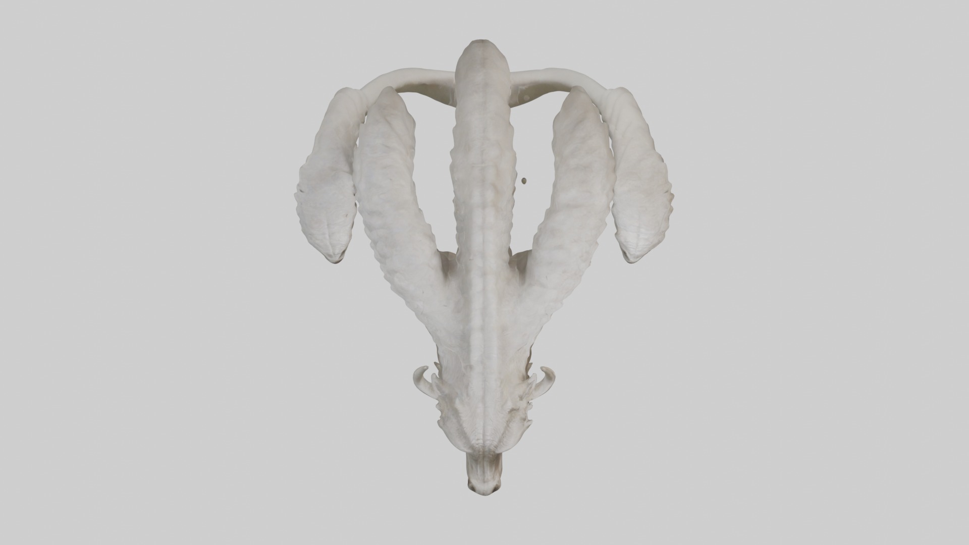 Hydra Model Low-poly 3D model_8