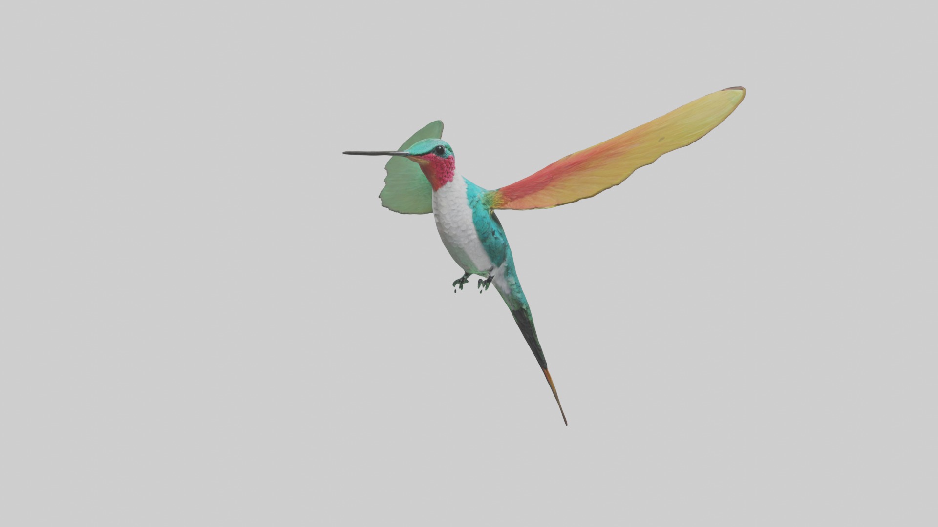 Hummingbird Model 1 Low-poly 3D model_5