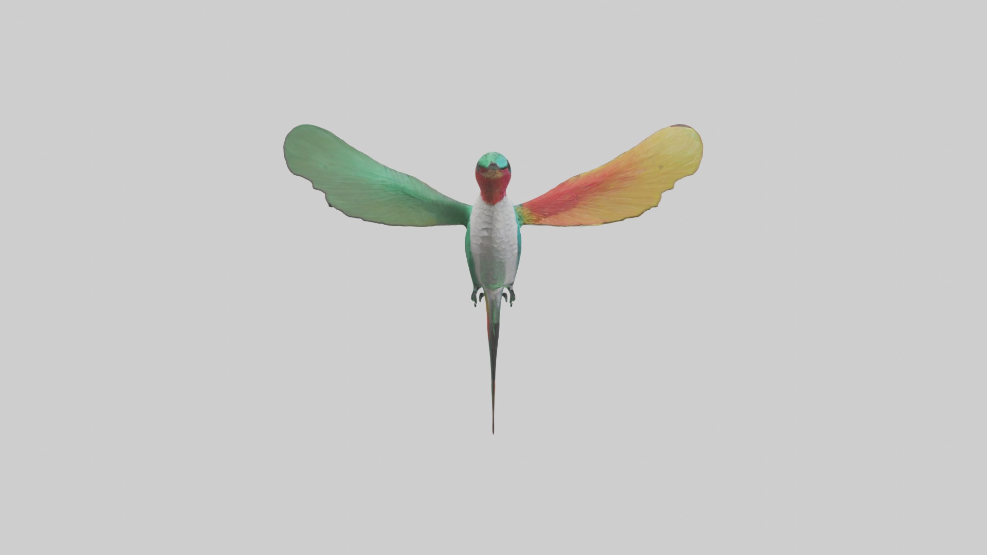 Hummingbird Model 1 Low-poly 3D model_7
