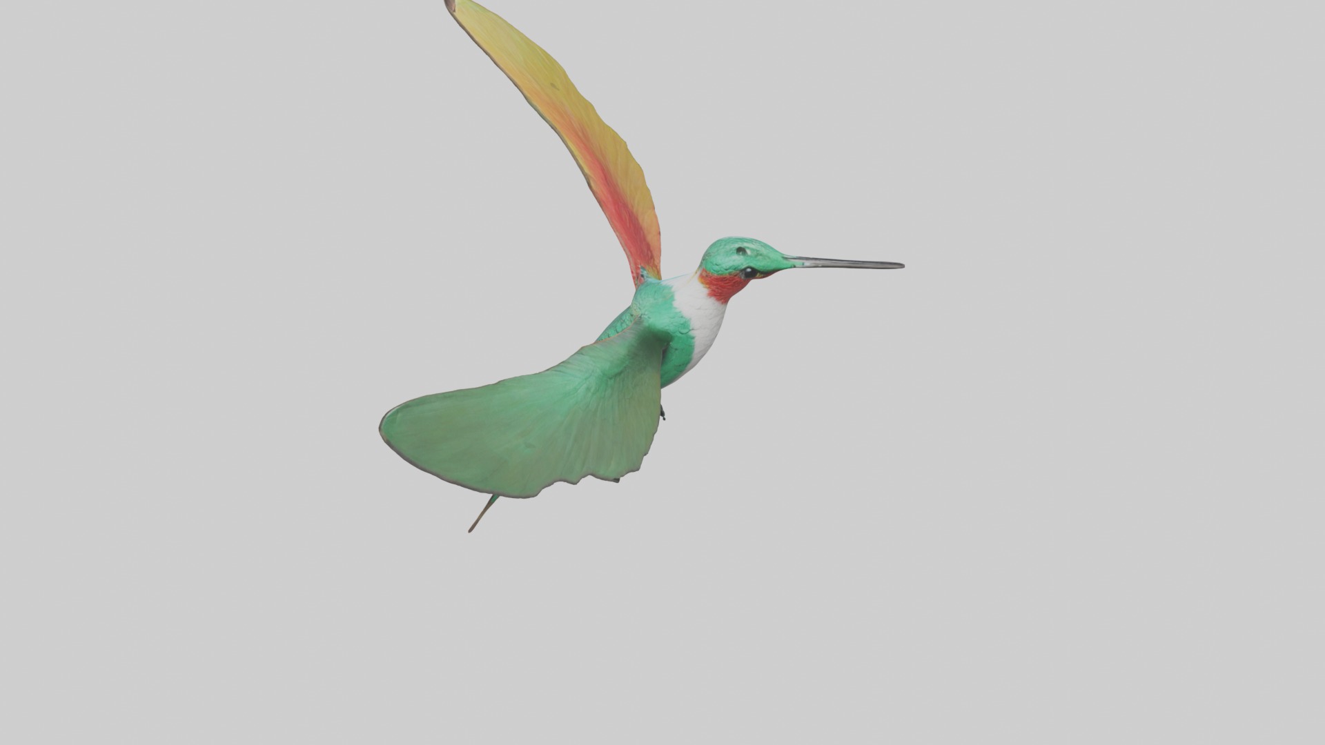 Hummingbird Model 1 Low-poly 3D model_9