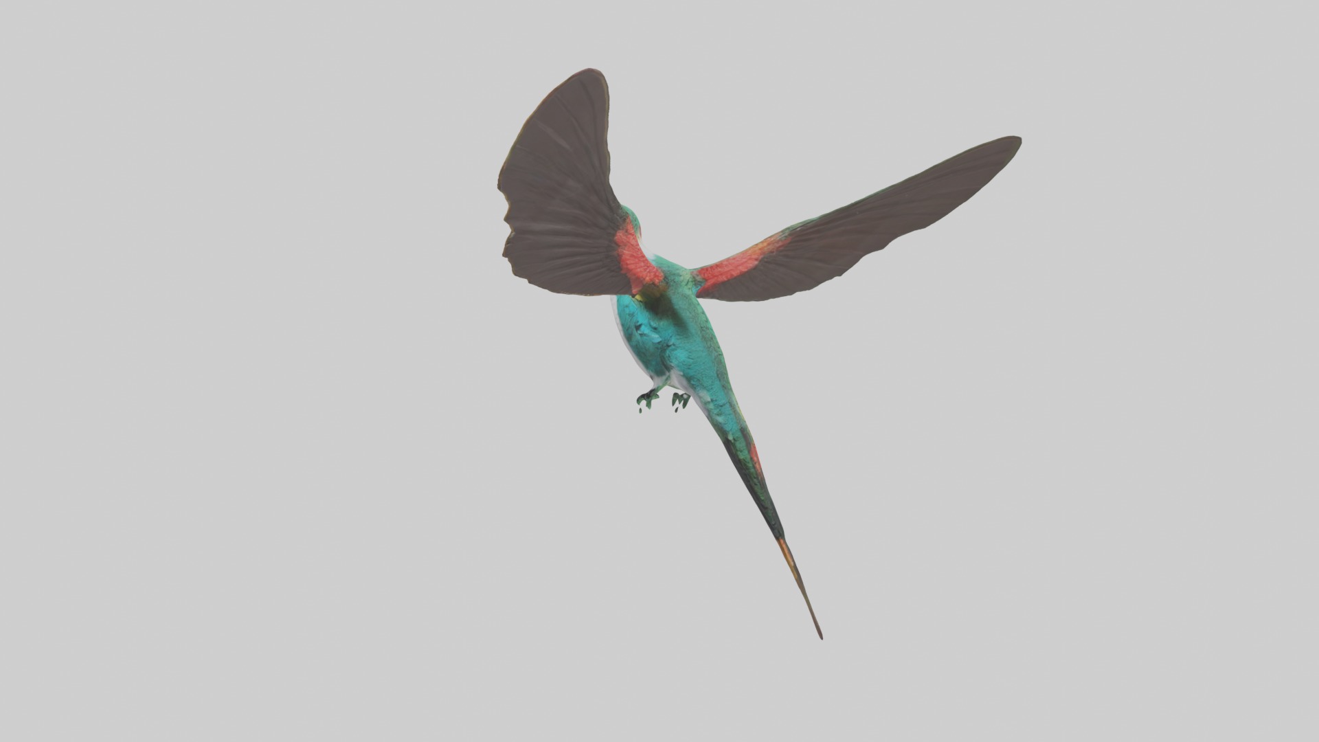 Hummingbird Model 1 Low-poly 3D model_4