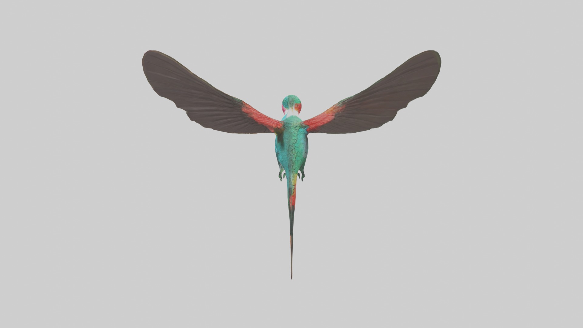 Hummingbird Model 1 Low-poly 3D model_6