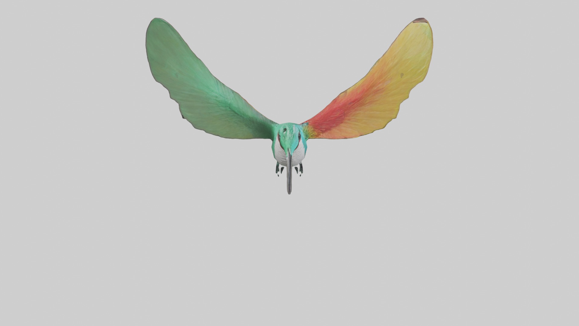 Hummingbird Model 1 Low-poly 3D model_12