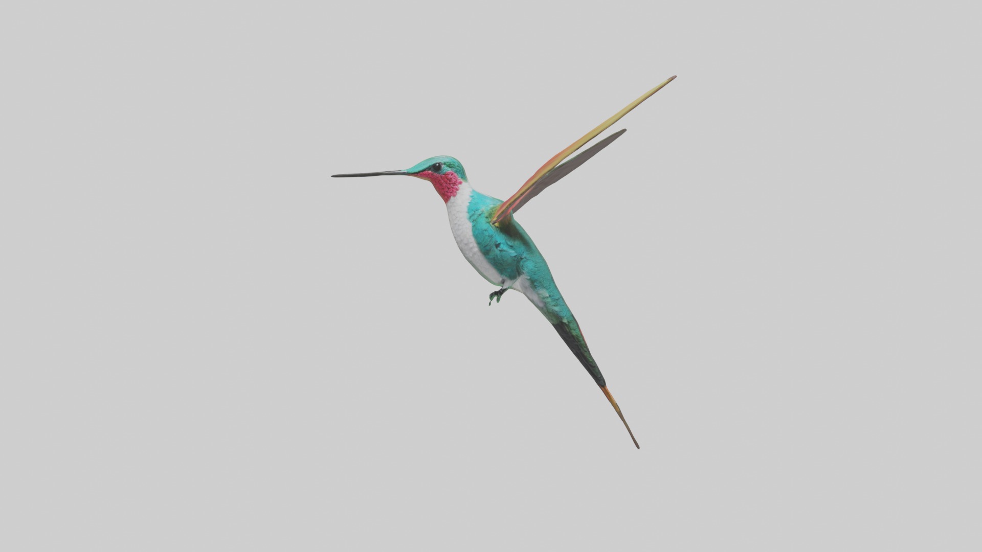 Hummingbird Model 1 Low-poly 3D model_3