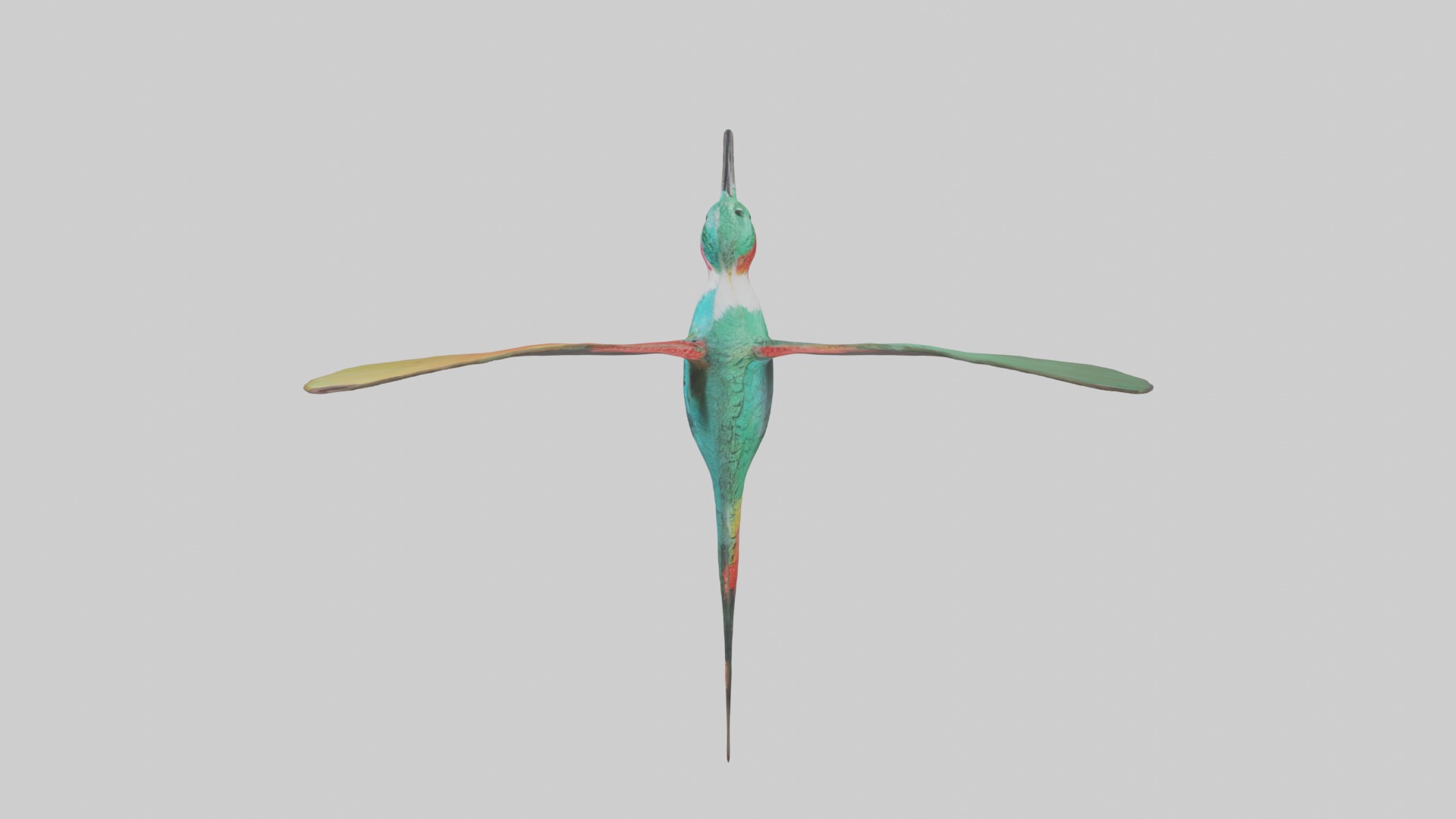 Hummingbird Model 1 Low-poly 3D model_11