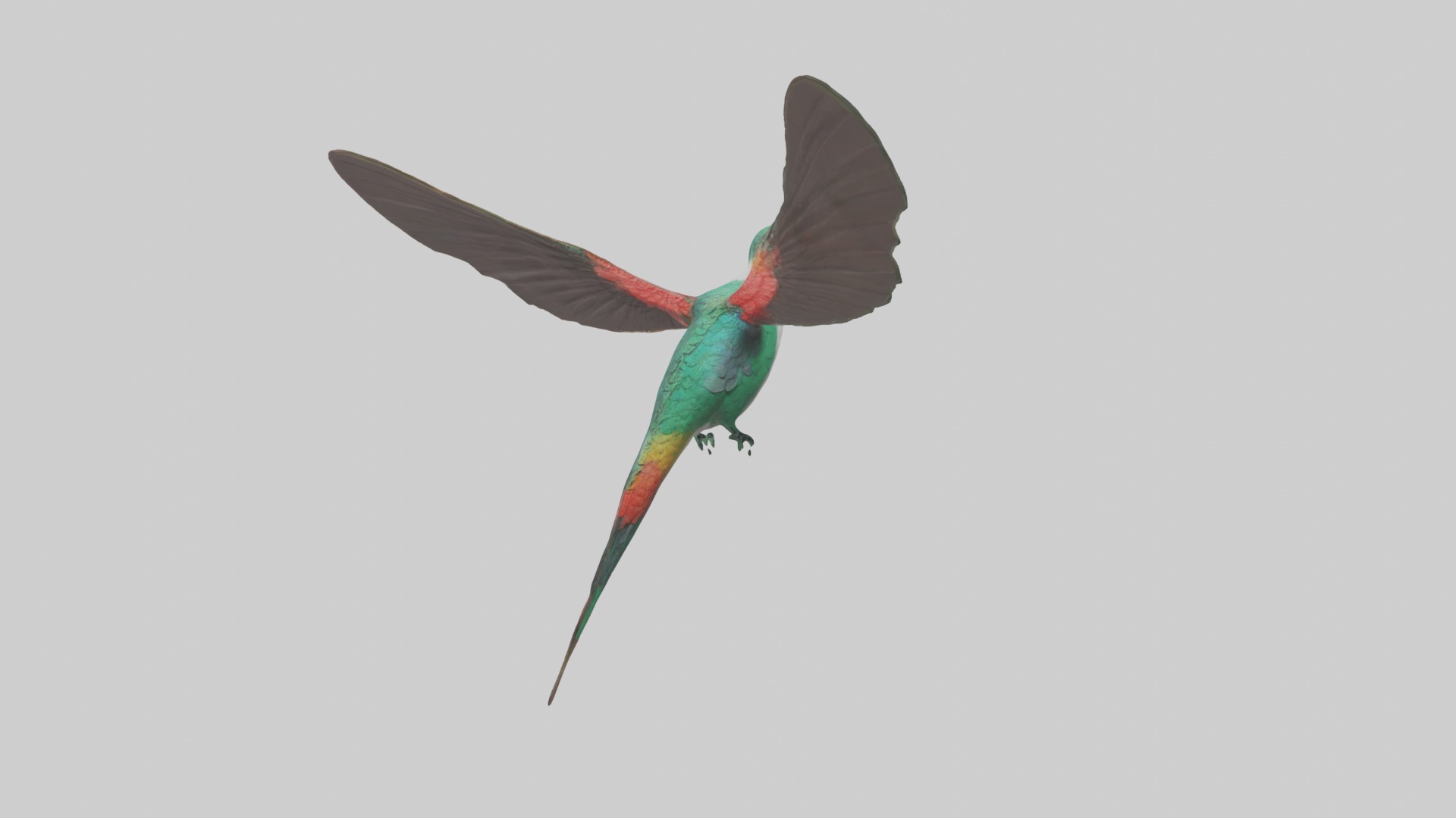 Hummingbird Model 1 Low-poly 3D model_1