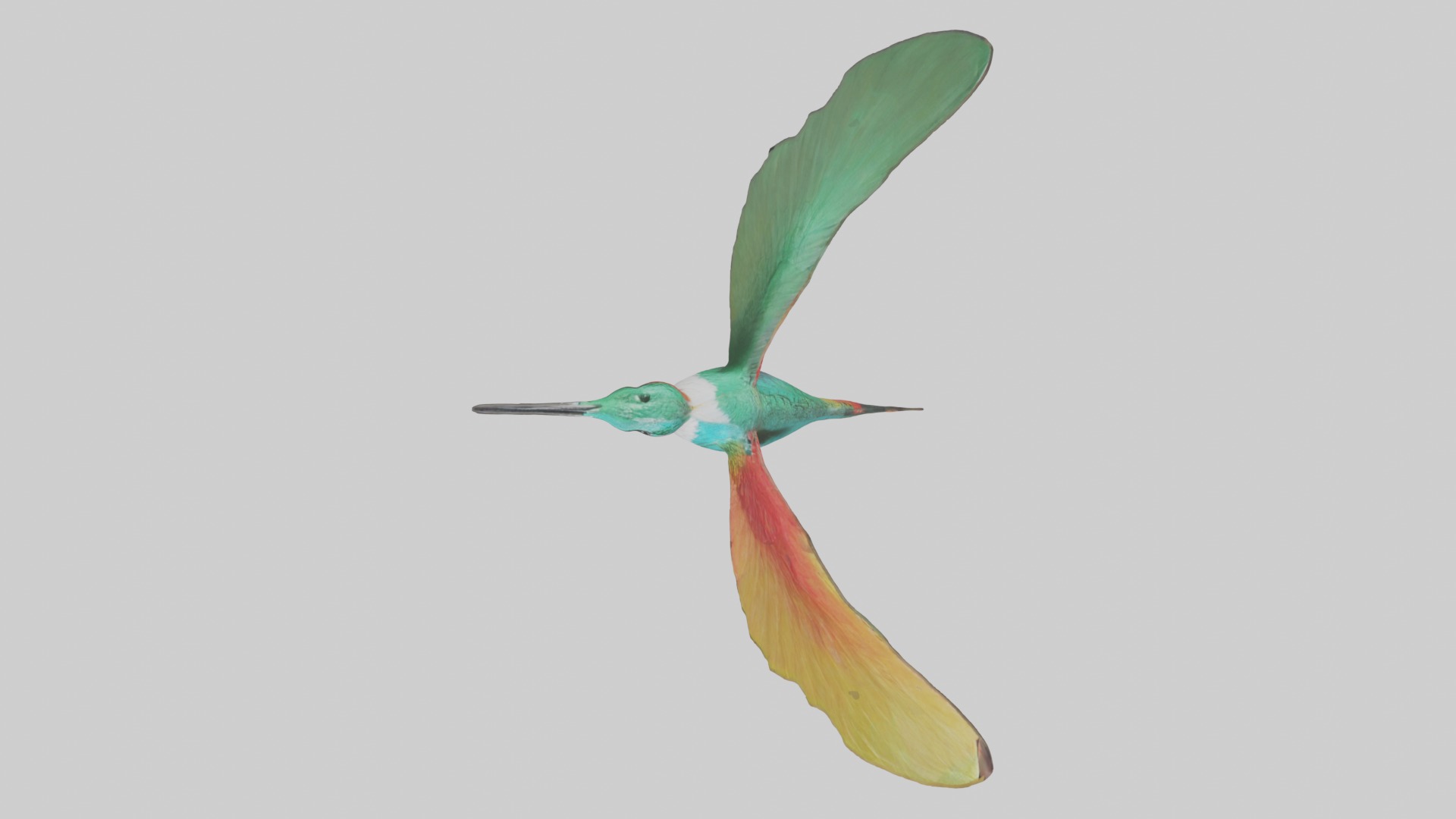 Hummingbird Model 1 Low-poly 3D model_8