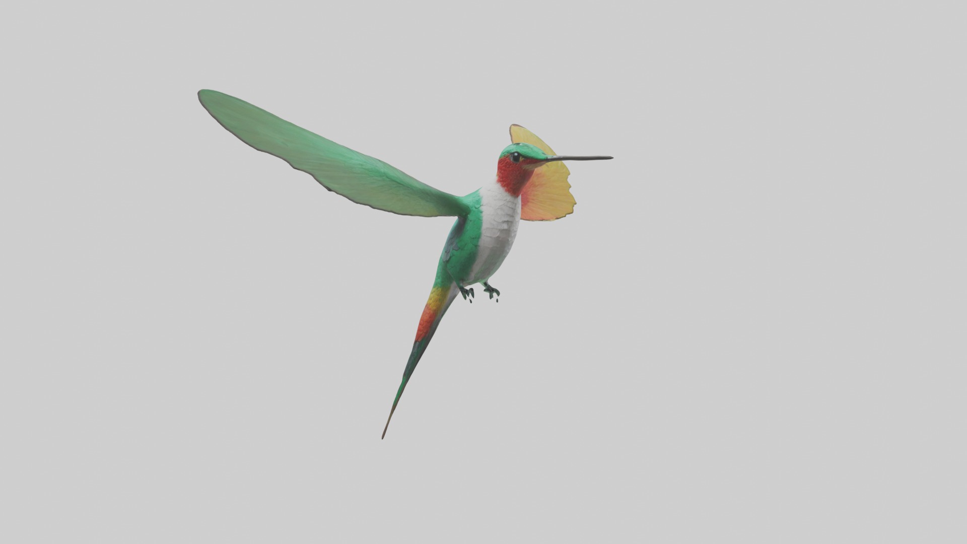 Hummingbird Model 1 Low-poly 3D model_2