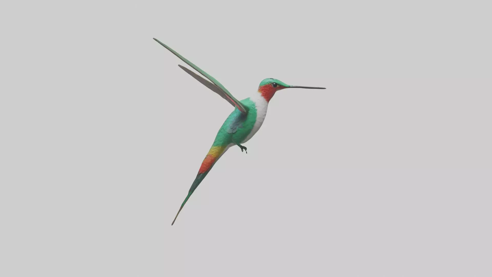 Hummingbird Model 1 Low-poly 3D model_0