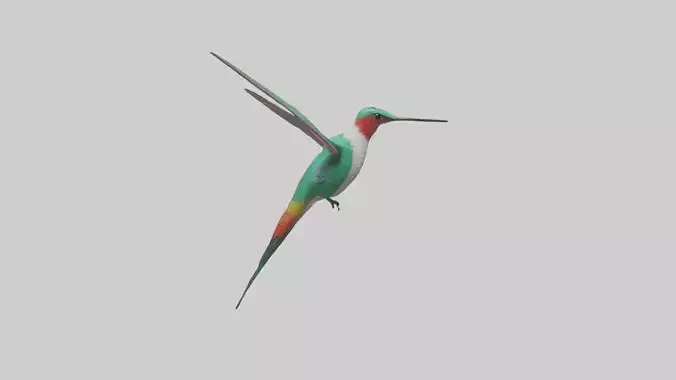 Hummingbird Model 1