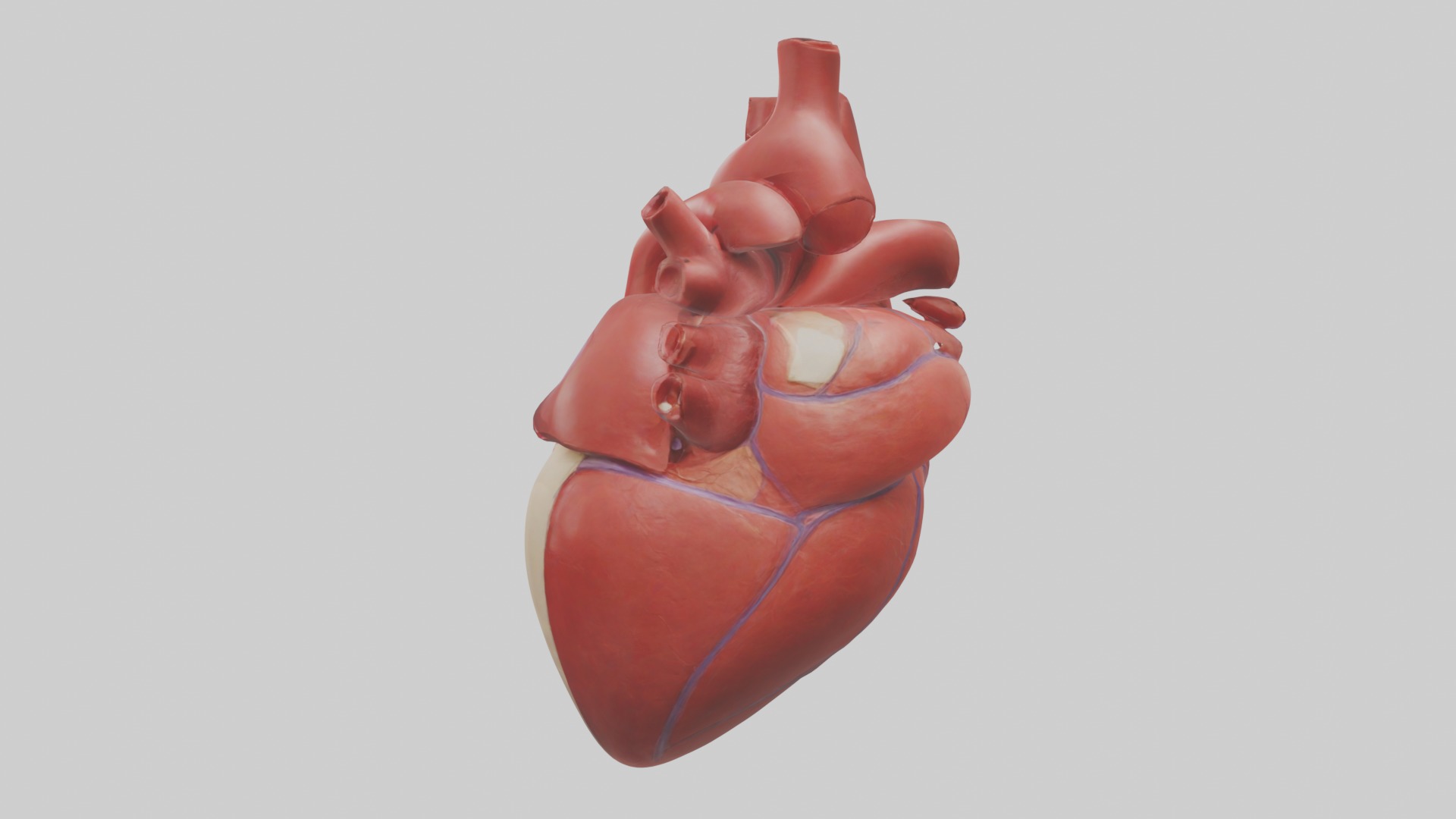 Heart Model 1 Low-poly 3D model_1
