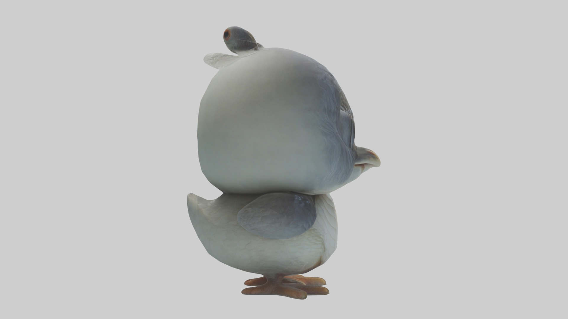 Hatchling Model Low-poly 3D model_7