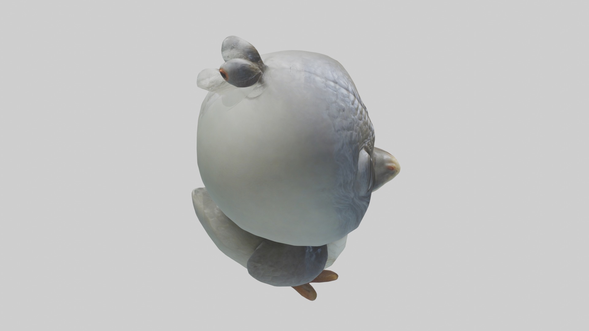 Hatchling Model Low-poly 3D model_12