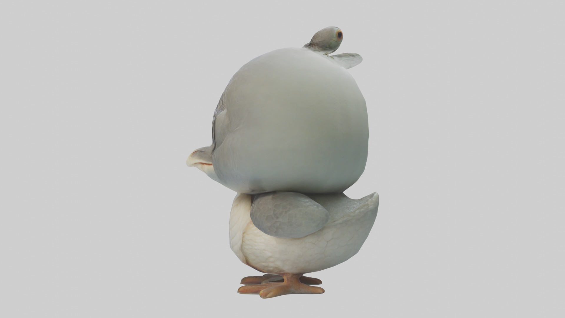 Hatchling Model Low-poly 3D model_6