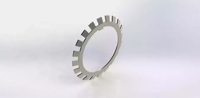 Arruela de Fixacao SKF MB 19 Fixing Washer 3D model