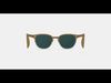 Sydney Sunglasses in Chai Crystal Fade 3D model_1