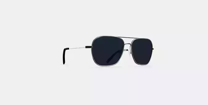 Abe Sunglasses in Polished Silver