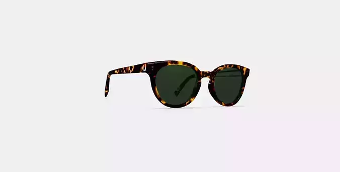 Taye Sunglasses in Black Oak Tortoise