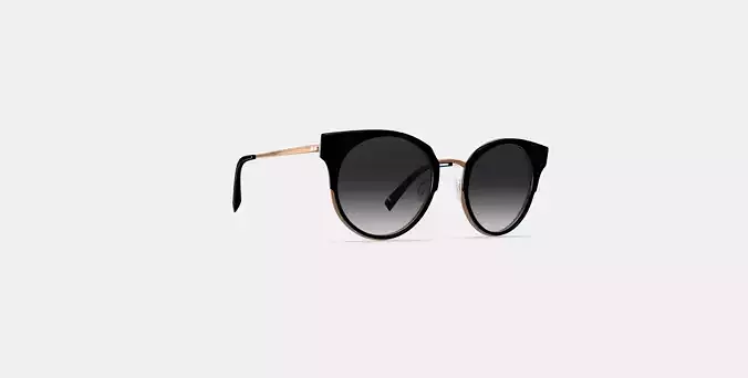 Cleo Sunglasses in Jet Black with Rose Gold