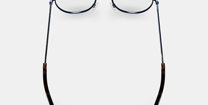 Simon Eyeglasses in Brushed Ink 3D model 4