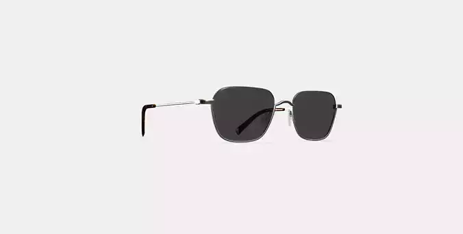Healey Sunglasses in Polished Silver