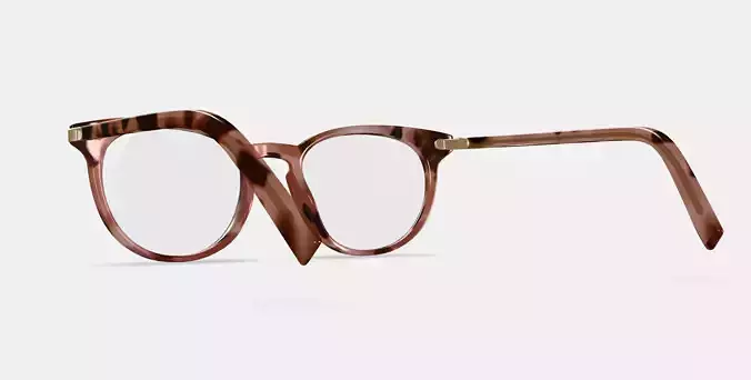 Sadie Eyeglasses in Sesame Tortoise with Polished Gold