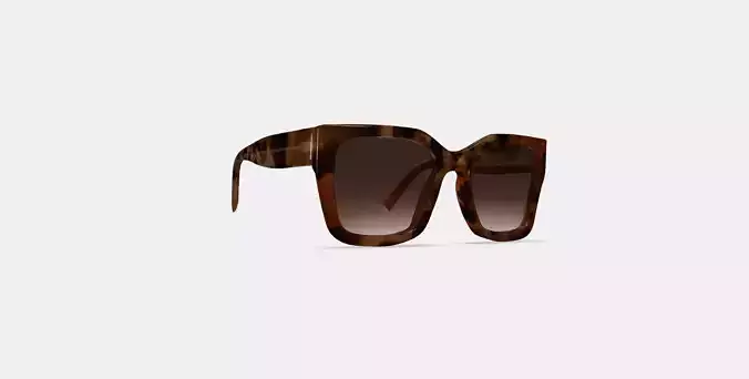 Bette Sunglasses in Sesame Tortoise