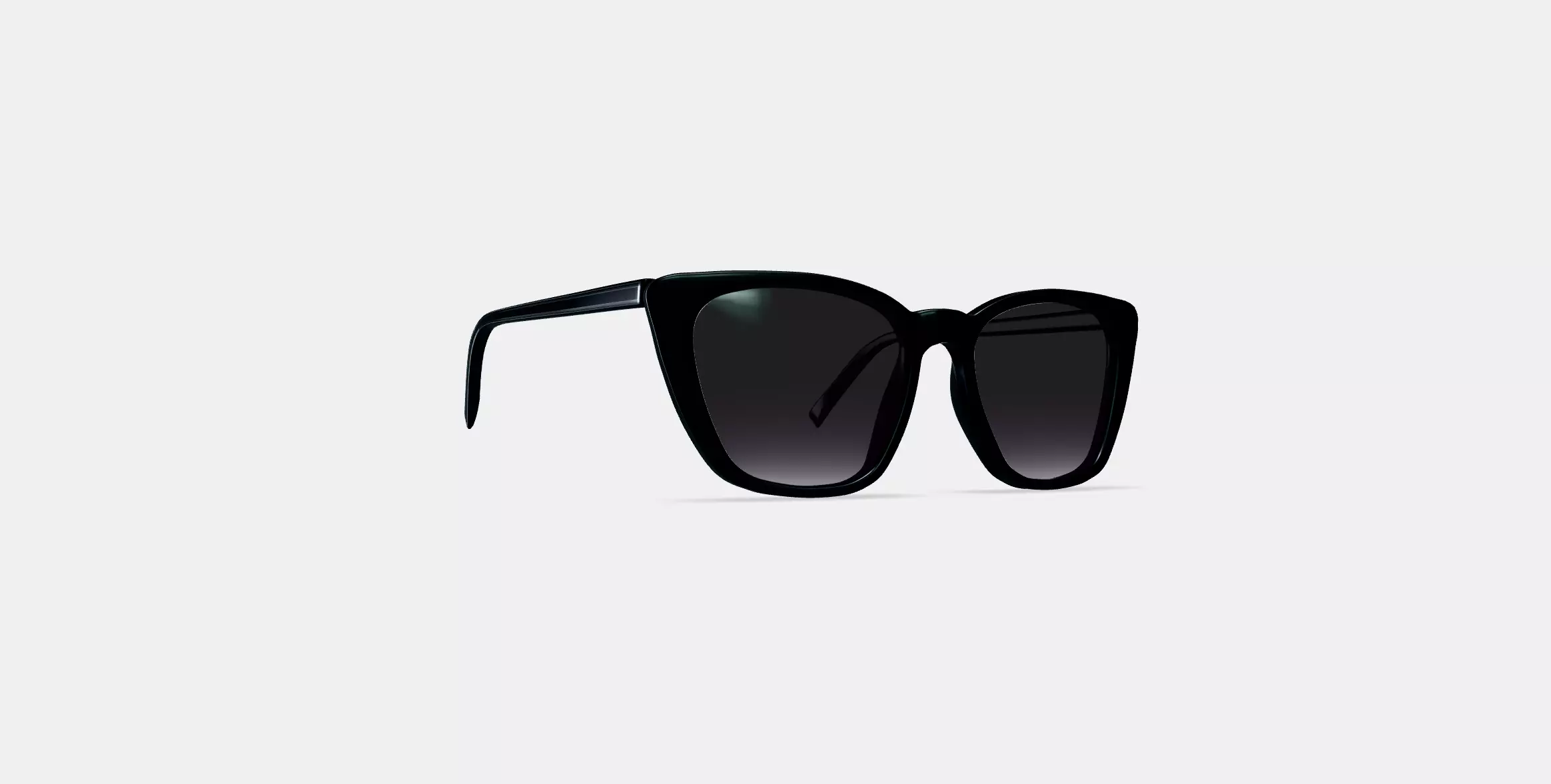 Janelle Sunglasses in Jet Black 3D model_0