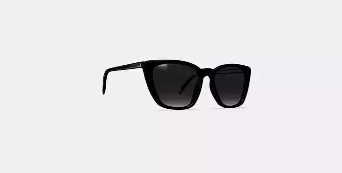 Janelle Sunglasses in Jet Black