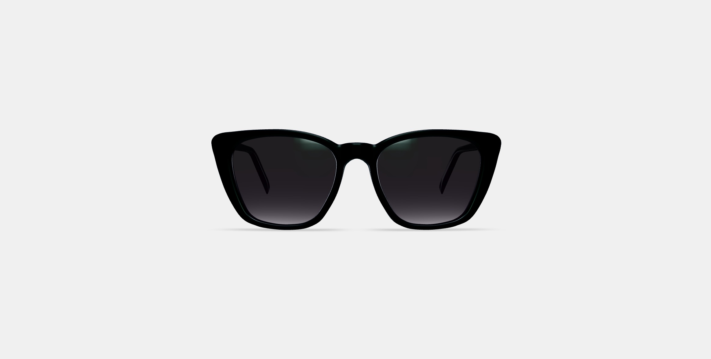 Janelle Sunglasses in Jet Black 3D model_10