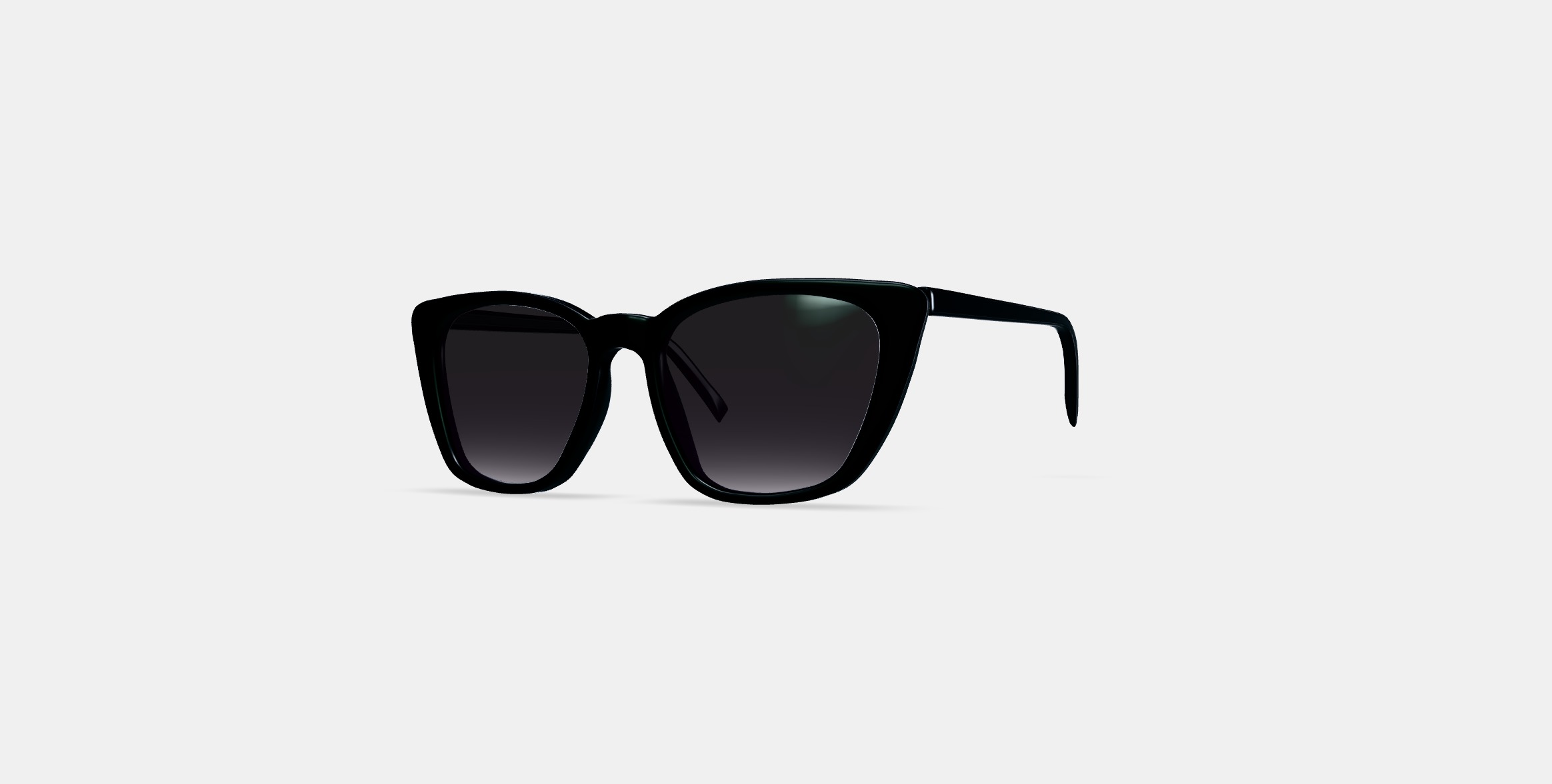 Janelle Sunglasses in Jet Black 3D model_12