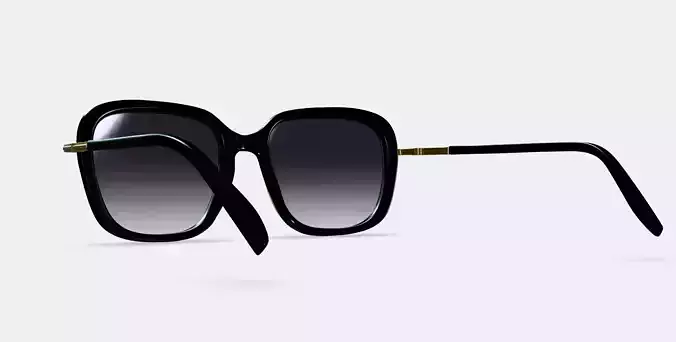 Safia Sunglasses in Jet Black with Polished Gold