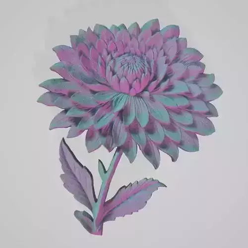 Chrysanthemum flower-Relief