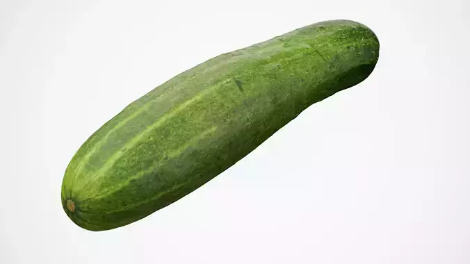 Cucumber - Photorealistic Scan Low-poly 3D model