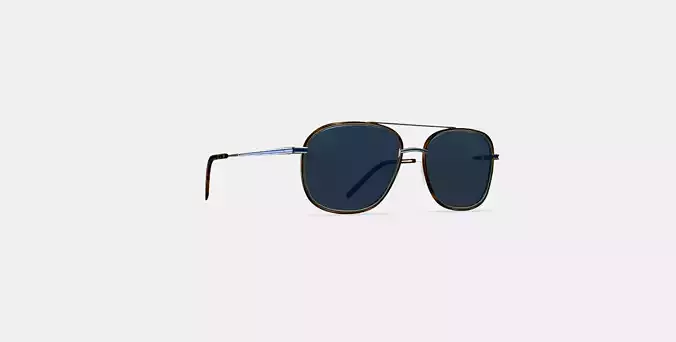 Aiko Sunglasses in Oak Barrel with Riesling 3D model