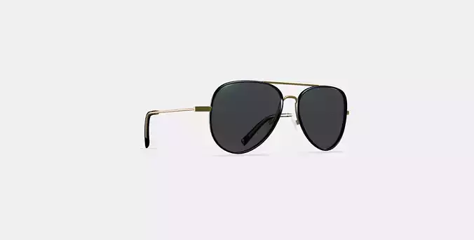 Raider Sunglasses in Brushed Ink with Polished Gold 3D model