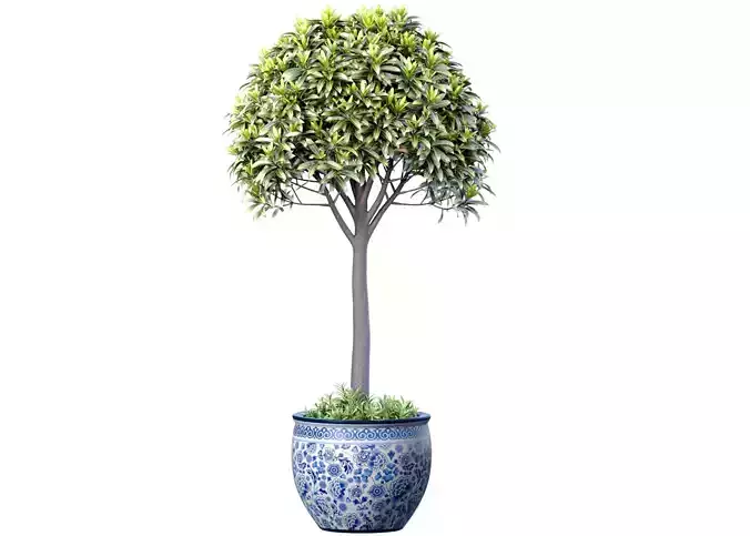 Decorative tall tree in a Chinese porcelain vase pot