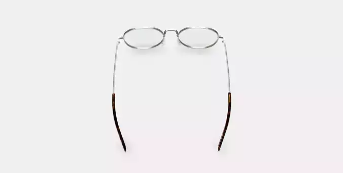 Albie Eyeglasses in Polished Silver 3D model