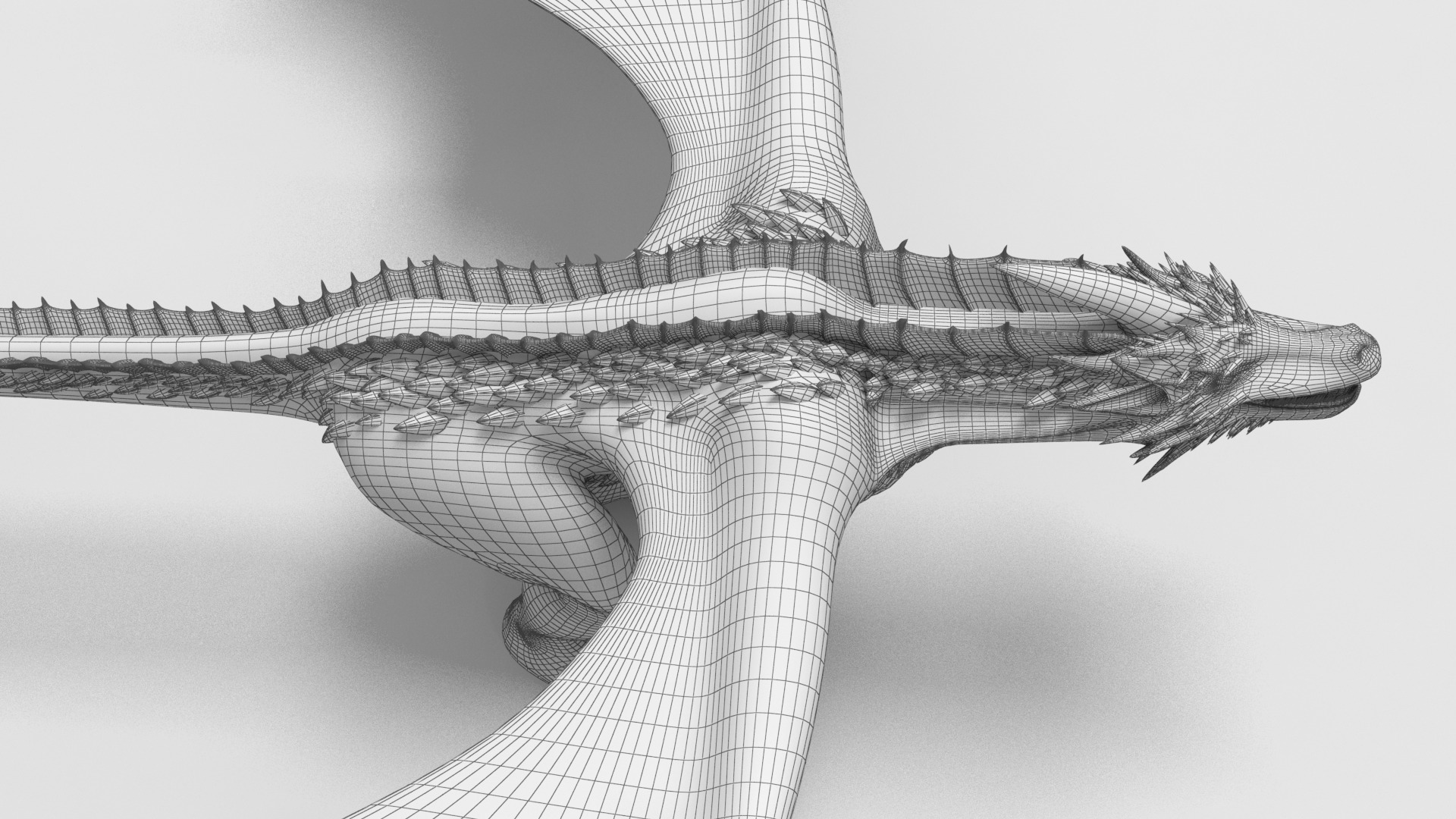 Dragon 03 3D model_15