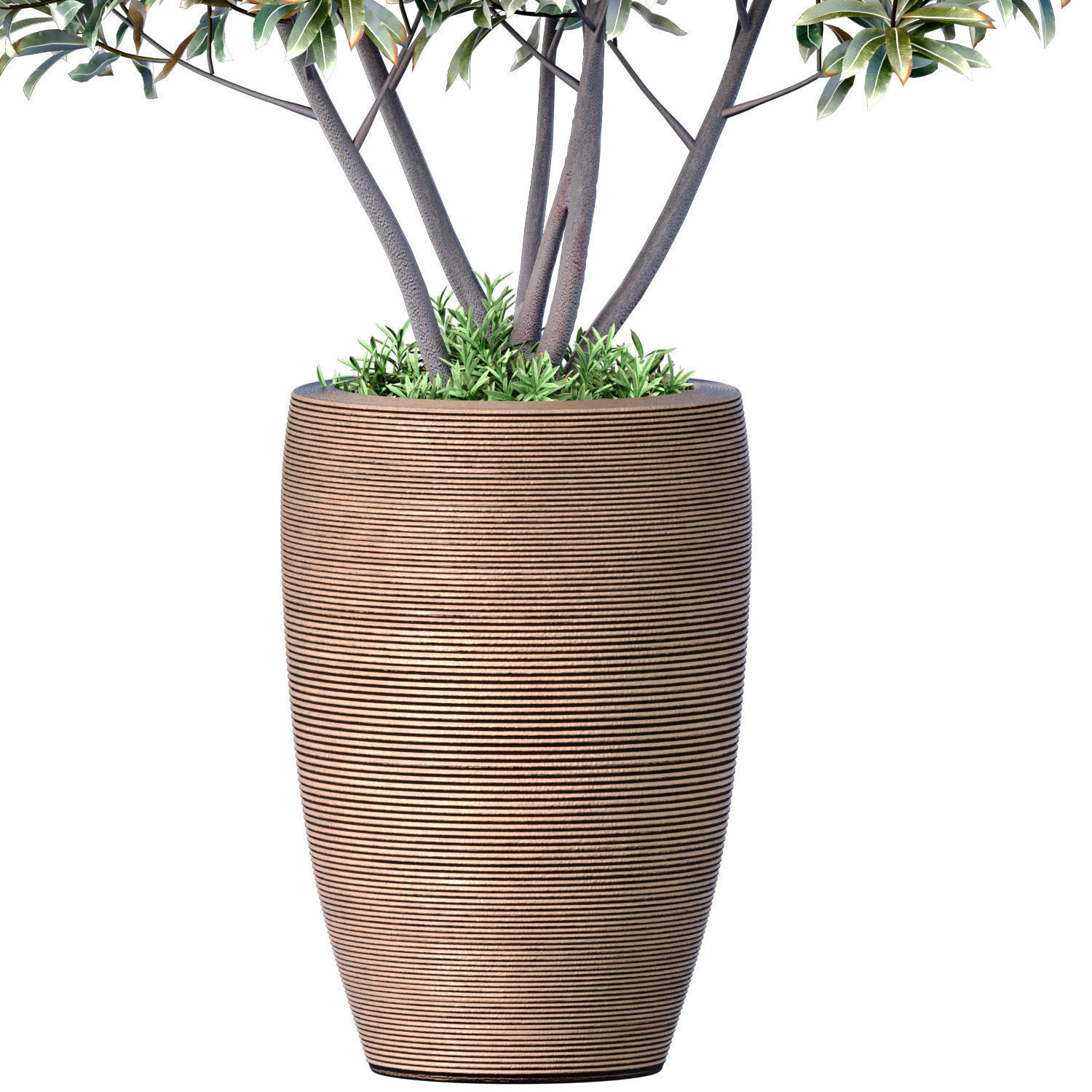 Decorative tree bush shrub in a modern high fluted vase 3D model_1