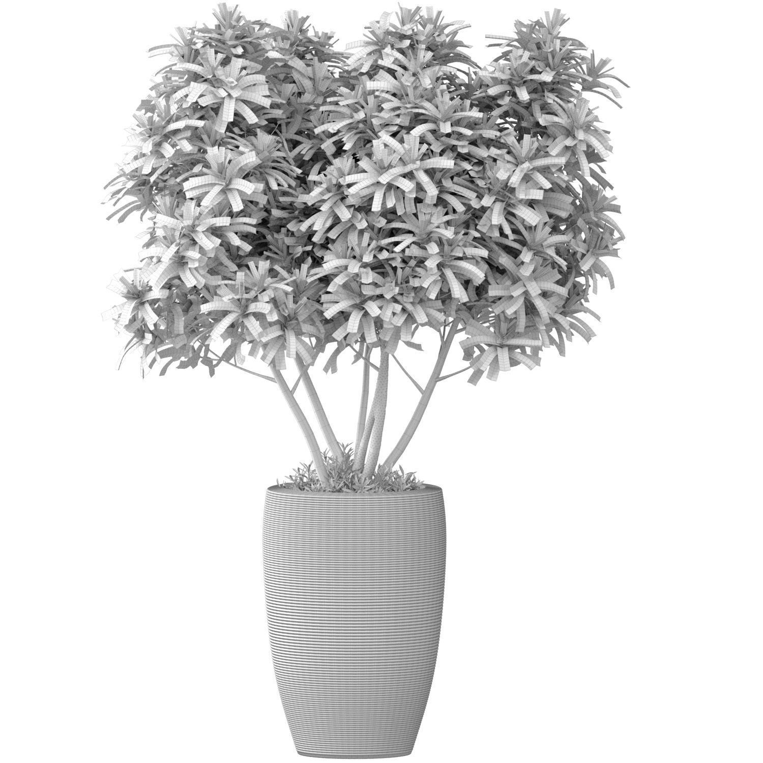 Decorative tree bush shrub in a modern high fluted vase 3D model_2