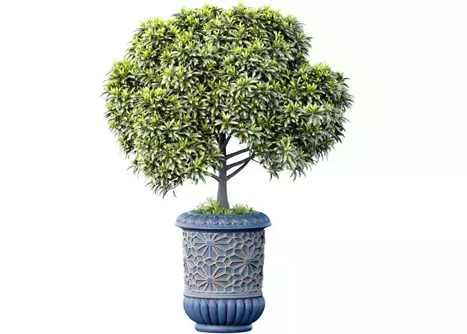 Decorative large garden tree for decoration in oriental style 