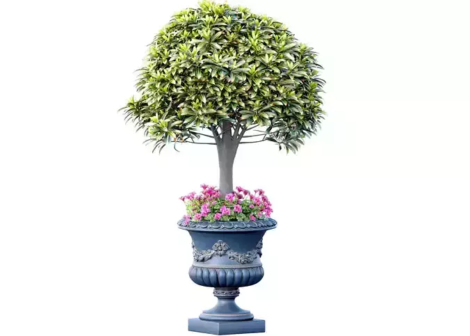 Decorative garden tree shrub in classic luxury  pot vase