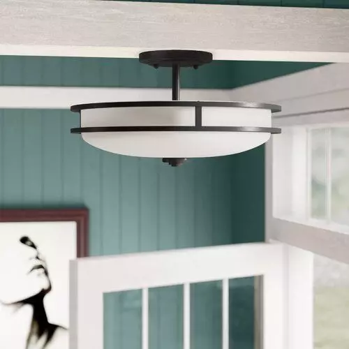 Roberson Light Semi Flush Mount 3D model_0