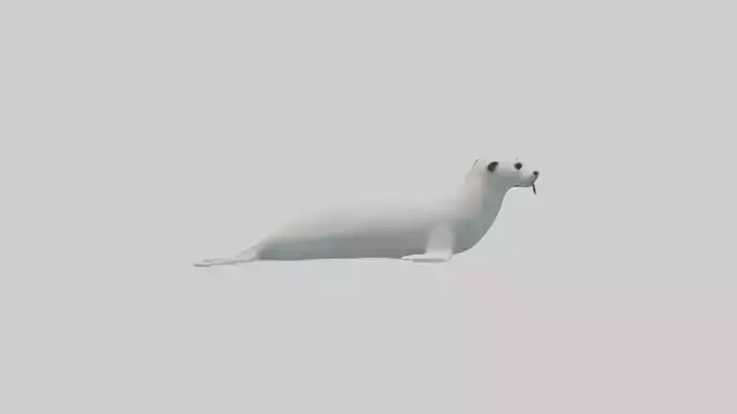 Harp Seal Model 1 Low-poly 3D model
